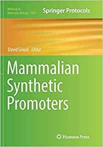 Mammalian Synthetic Promoters (methods In Molecular Biology)
