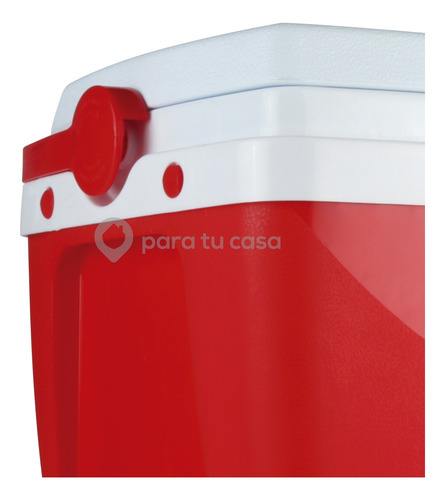Imagen 4 de 10 de Conservadora Heladerita Heladera Portatil Playa Camping 34 L
