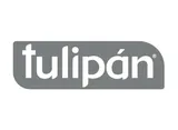 Tulipán