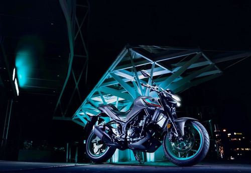 Imagen 24 de 25 de Motocicleta - Yamaha - Mt-03 A