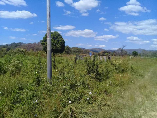 Imagen 16 de 30 de Finca De 440 Has En Cojedes-acarigua. 3 Pozos De Agua, Electricidad.