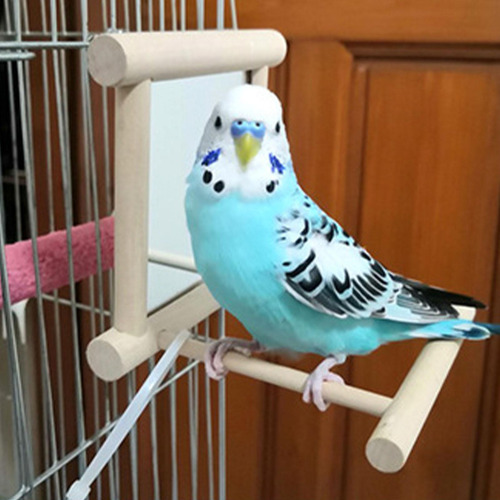 Espejo De Pájaro Con Juguete De Pájaro Para Loro De Madera C