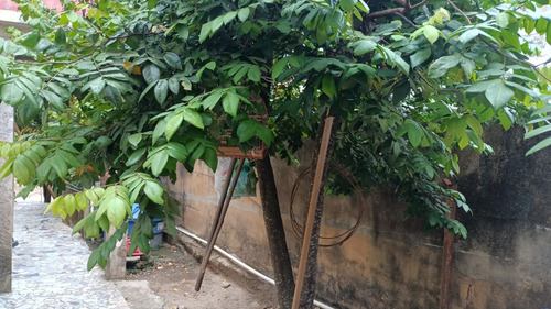 Vende-se Terreno Com 4 Imóveis