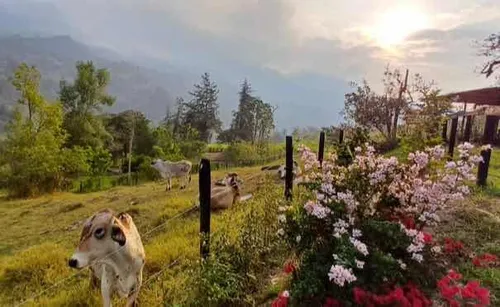 Vendo Finca En Machetá Cundinamarca A 1.5 Horas De Bogotá!