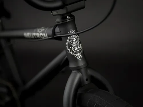 Flybikes neutron 2018 2025
