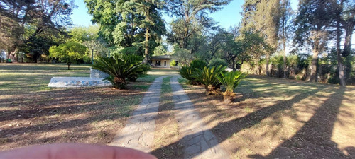 Imagen 8 de 13 de Quinta Para Eventos, Pasar El Día ,finde Semana ,los Días Que Te Quieras Quedar .7000 Metros ,capacidad Grande . Casamientos , ! Zona Oeste,zona Tranqhi, Fiestas Y Mucho Más .capacidad 400 Personas .