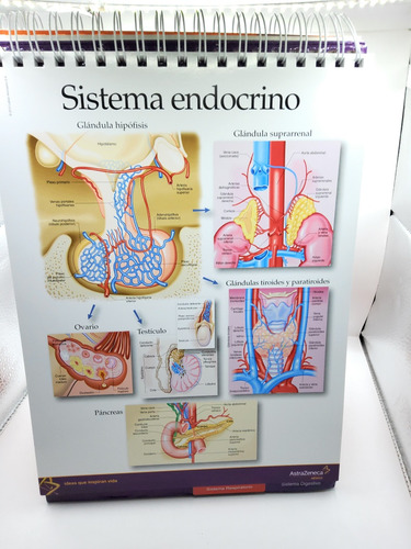 Libro De Imagenes Médicas Tomo 1 Astrazeneca Ilustrado (Usado)