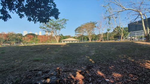 Imagem 7 de 9 de Terreno Comercial Com 1.859 M² Na Avenida Dr. José Cesário Monteiro Da Silva, Em Excelente Localização! - Te00205 - 68563397