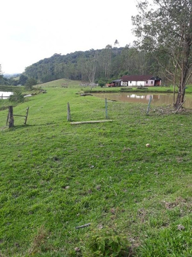 Imagem 13 de 15 de Ref.: 17534 - Fazenda Em Jacupiranga Para Venda - 17534