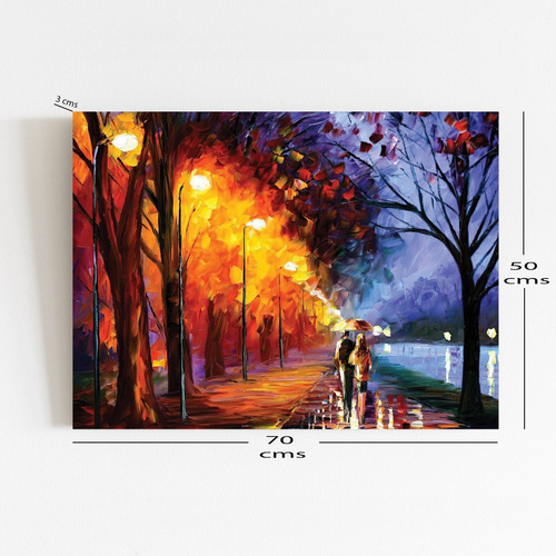 Imagen 2 de 3 de Cuadro 70x50 Cms Decorativo Camino 16