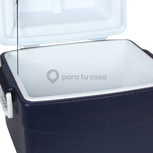 Imagen 5 de 10 de Conservadora Heladerita Portatil Playa Camping 55 L Mor