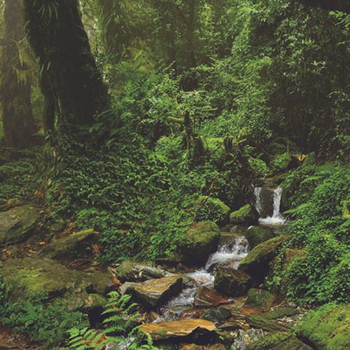 Cartaz Da Paisagem Do Aquário