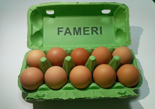 Imagen 1 de 3 de Estuche Porta Huevos Biodegradable -10 Unidades-