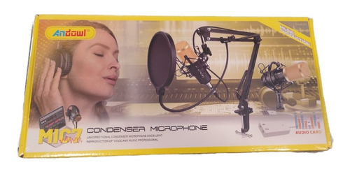 Imagen 2 de 9 de Kit Micrófono Studio Condensador Profesional Soporte