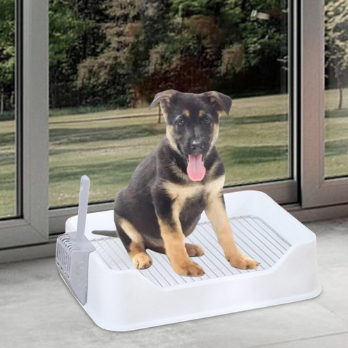 Inodoro Para Perros Y Mascotas, Bandeja De Adiestramiento