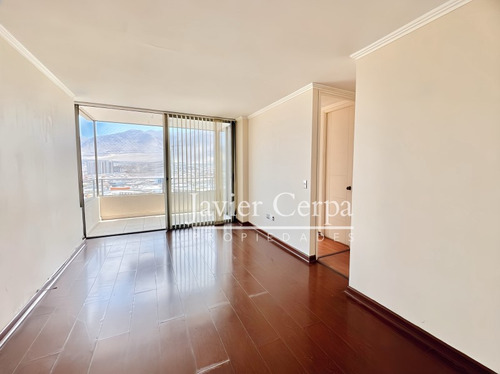 Depto Arriendo, Nicolas Tirado