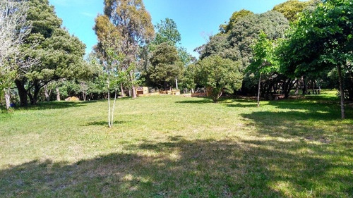 Camping En Venta, A 400 Metros Del Mar. Ideal Para Proyecto Mayor!