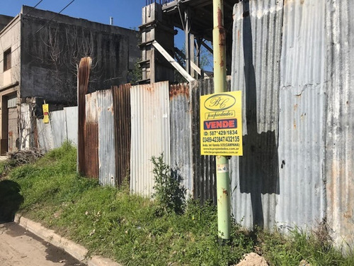 Imagen 2 de 5 de Dos Terrenos Sobre Calle Alem