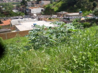 Excelente Lote 739m² - 575