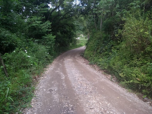 Imagem 18 de 30 de Fazenda - Fa00003 - 34856184