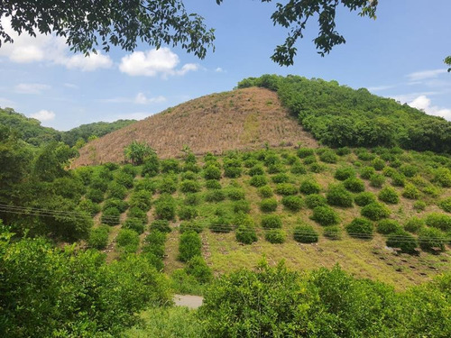 Rancho En Venta Gutierrez Zamora Centro