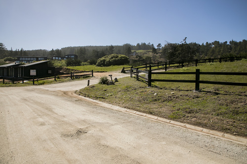 Reserva Natural En Punta De Lobos