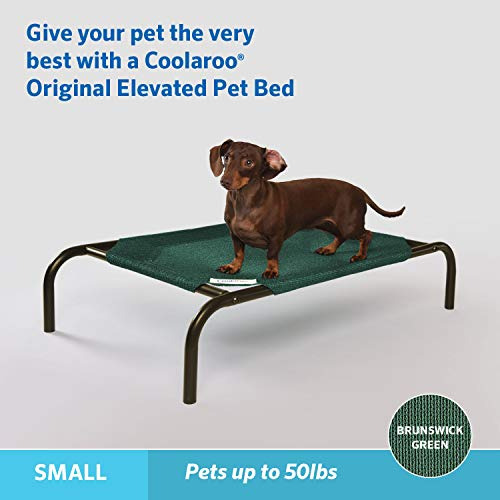 Cama Para Perro Elevada Tamaño Pequeño Color Verde