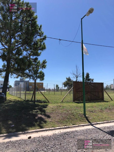 Imagen 10 de 22 de Terreno - Joaquin Gorina
