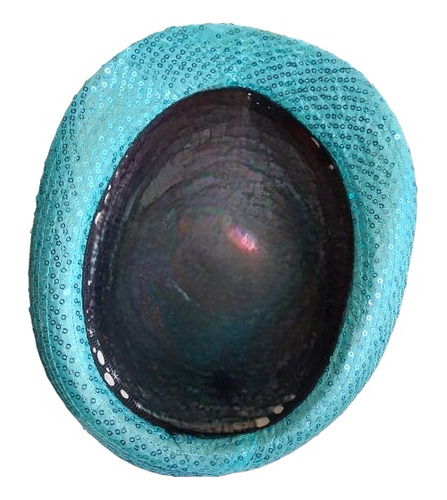 Sombrero Azul Celestw Con Lentejuela Y Liston Rosa