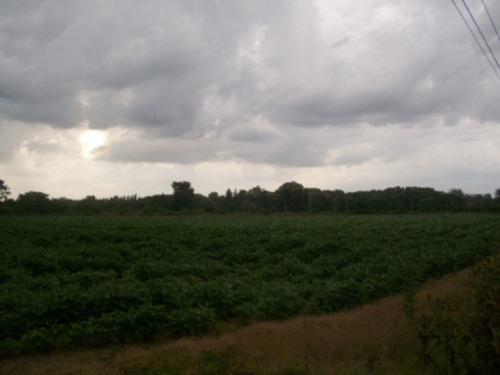 Imagen 5 de 12 de Venta Campo 19 Hectareas En Exaltacion De La Cruz