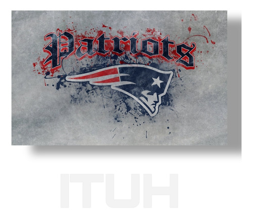 Cuadro Decorativo New England Patriots 