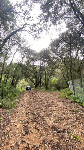 Imagen 3 de 10 de Venta Terreno Real Del Monte Hidalgo Ideal Para Cabañas