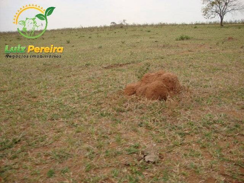 Imagem 6 de 6 de Fazenda Á Venda Em Bandeirantes - Ms - 1.020 Hectares (dupla Aptidão) - 2026