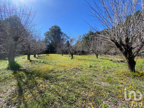 Venta Terreno 0 Ambiente Las Peras