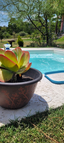 Alquiler Temporal Balneario Las Flores Con Yacuzzi Climatizado