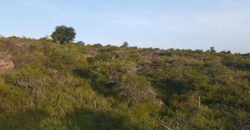 Imagen 2 de 2 de Lote En Venta De 1257m2 Ubicado En Bialet Massé