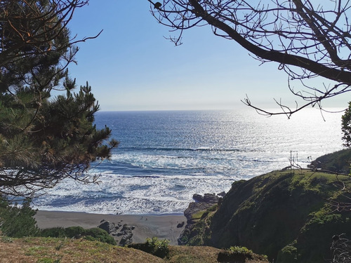 Vista De Primera Línea, Costa Vichuquén