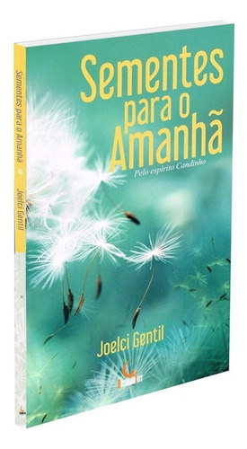 SEMENTES PARA O AMANHA, de Gentil, Joelci. Série Não aplica Editora BesouroLux - BESOUROBOX, capa mole, edição unica em português