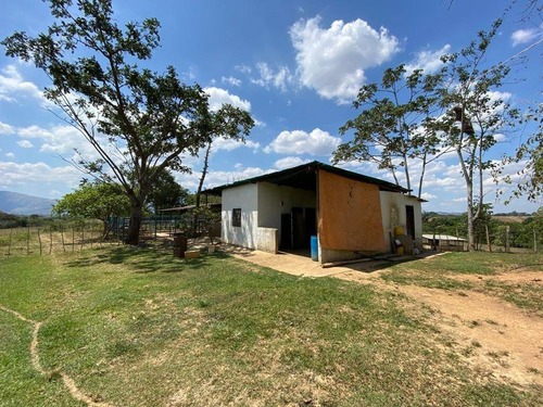 Imagen 29 de 30 de En Venta Granja Automatizada Y Finca De Ganado 142638 Andres Peña
