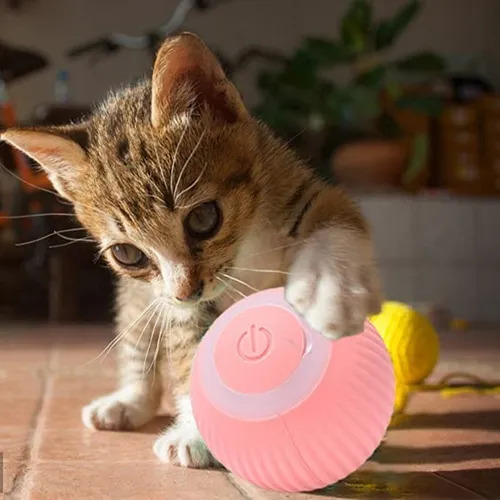 Brinquedo Interativo: Gatos, Cães, Bola Louca, Recarregável