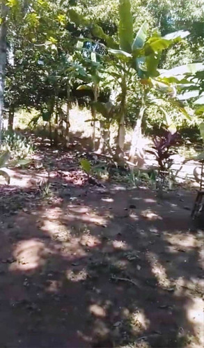 Imagen 9 de 11 de Venta Parcela 30.000mts2 Sector La Aguadita, San Carlos