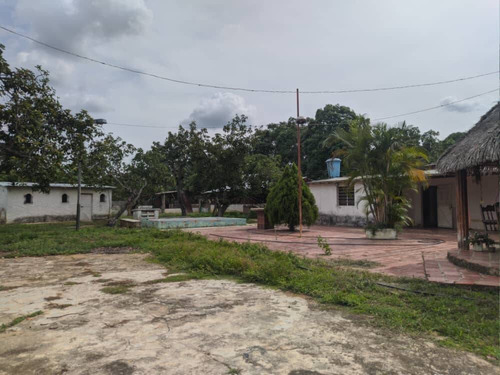 Imagen 4 de 11 de Venta De Finca En Tinaquillo Estado Cojedes Cod. 12604 Hm 04245552216