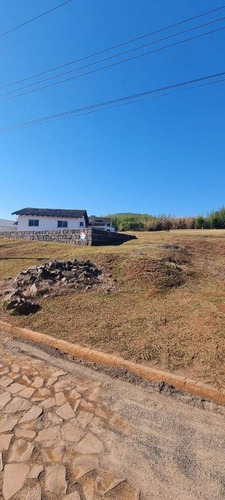 Imagem 8 de 12 de Venda Terreno No Bairro Vila Rica
