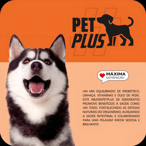 Ração Max Para Cães Sênior Raças Médias E Grandes 15kg