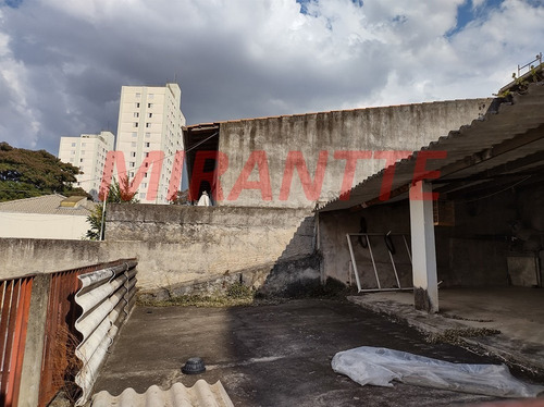 Imagem 18 de 26 de Terreno Em Tremembe - São Paulo, Sp - 359321