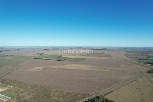 Imagen 10 de 30 de Terreno Campo En Venta En Carmen De Areco, Resto De La Provincia, Buenos Aires