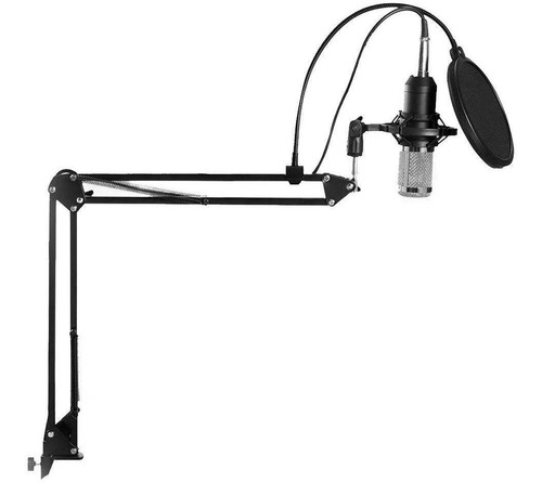 Imagen 2 de 5 de Kit Micrófono Estudio Condensador Profesional M800 + Brazo