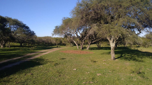 Venta Campo - Zona Talita - Concepcion Del Uruguay