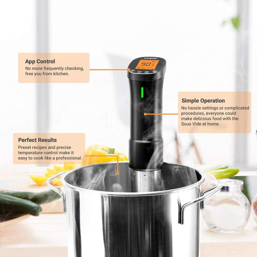 Cocinero Sous Vide Inkbird Isv-200w 1000w Wifi Control App