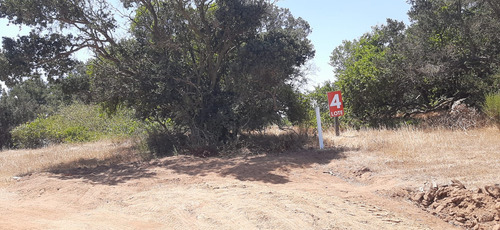 Parcelas De 5.000mts2 En Alto Yali